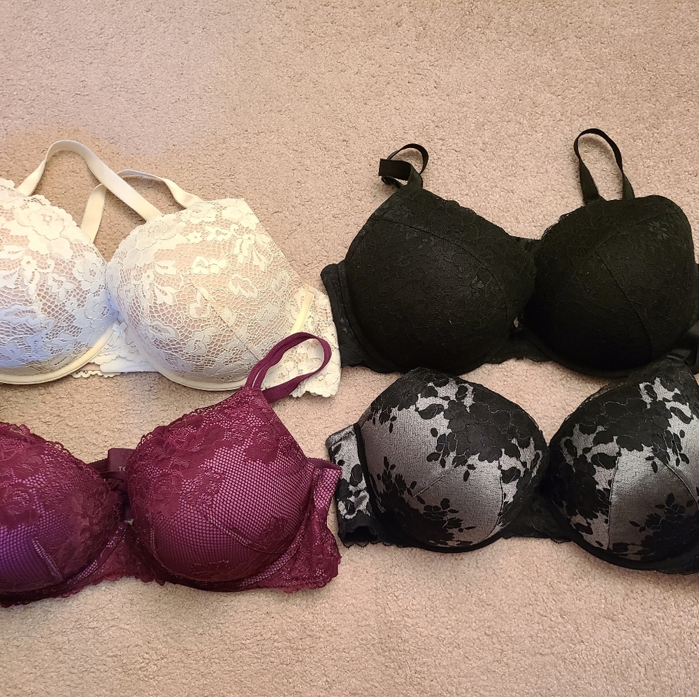 Torrid bras